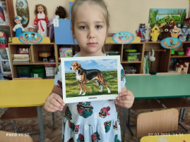 Международный день собак Международный день собак.
