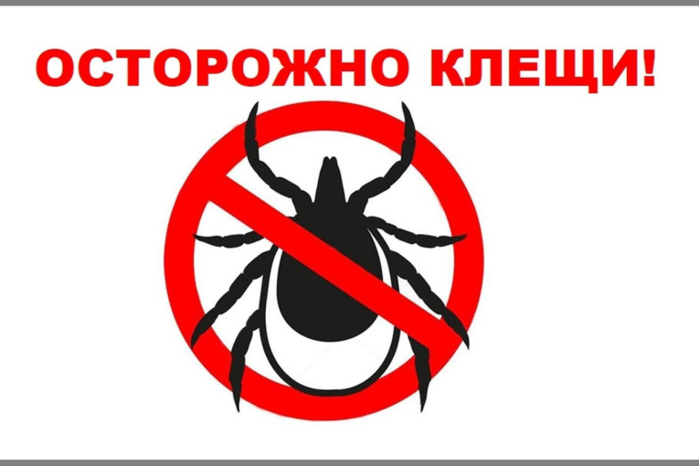 Осторожно – клещи! Памятка для детей и взрослых Осторожно – клещи! Памятка для детей и взрослых.